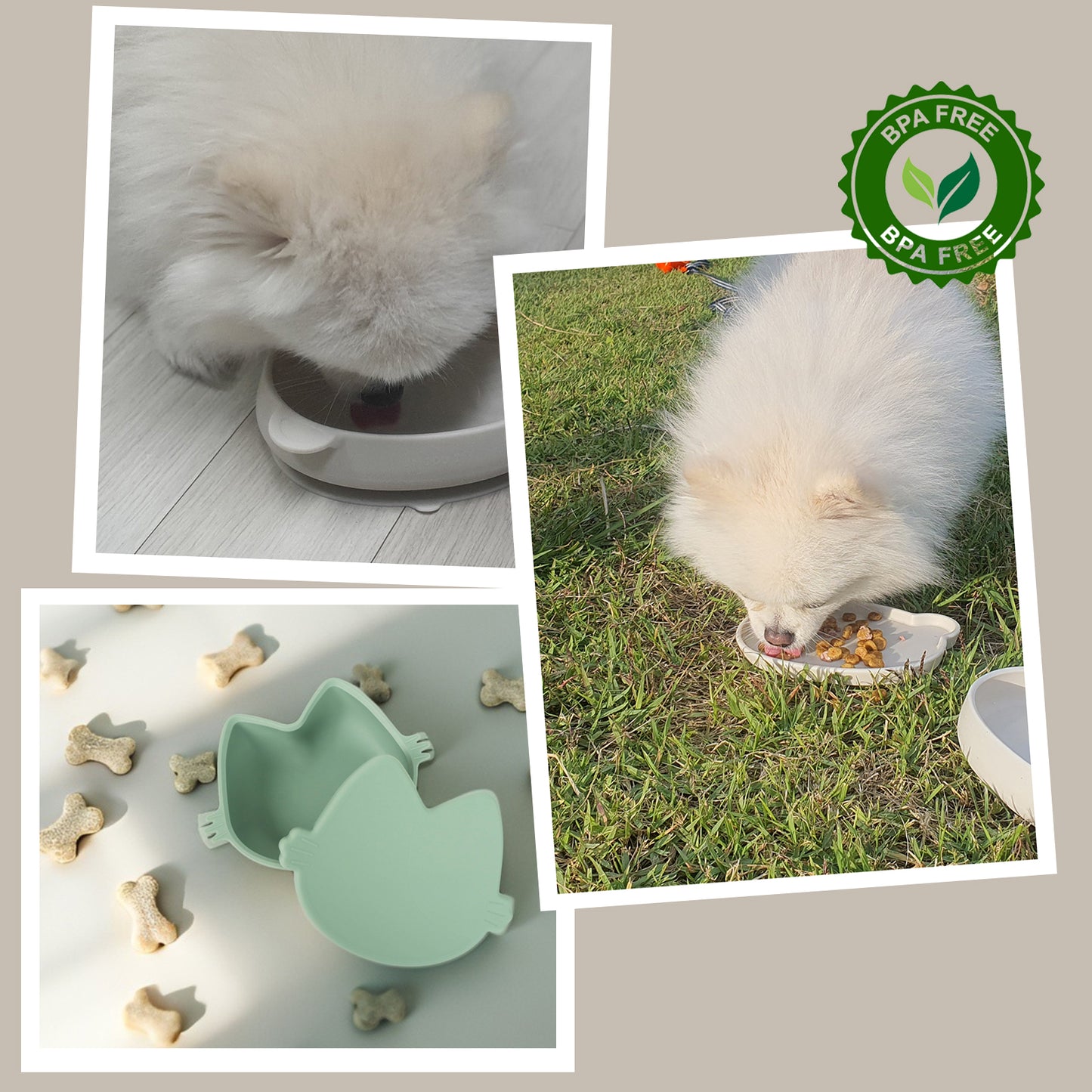 Platinum Silicone MoaCat Bowl . Beige